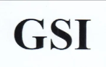 GSI trademark logo