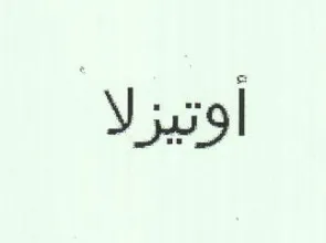 أوتيزلا trademark logo