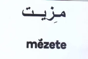 a & m trademark logo