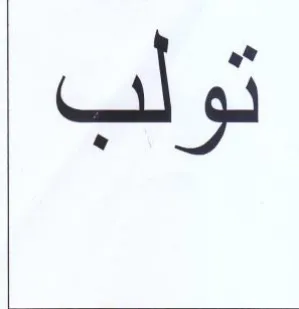 تولب