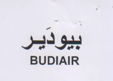 BUDIAIR بيودير trademark logo