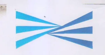 SS trademark logo