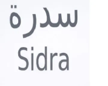 IW Sidra trademark logo