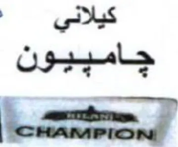 axes. كيلاني جامييون trademark logo