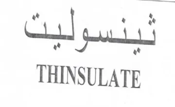 THINSULATE trademark logo