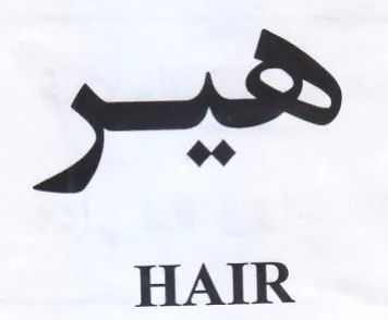 HAIR trademark logo