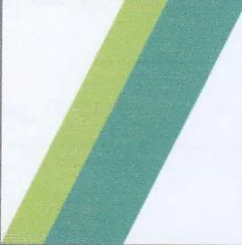y trademark logo