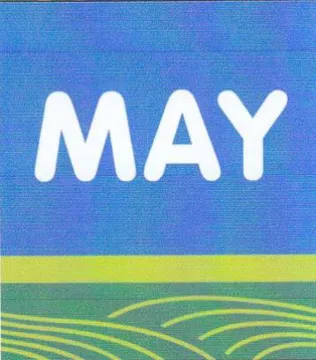 MAY es trademark logo