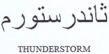 THUNDERSTORM trademark logo