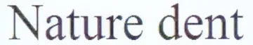 Nature dent trademark logo