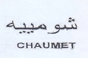 (figurative mark) trademark logo