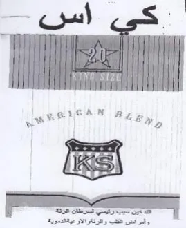Ripa MAR a ah dg ونرء trademark logo