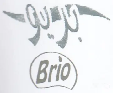 ayy trademark logo