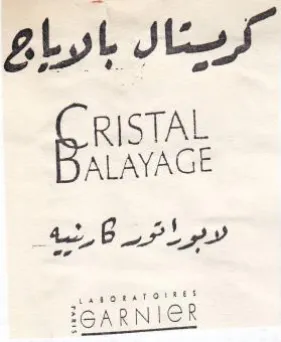 B PL yy ال بادريابى trademark logo