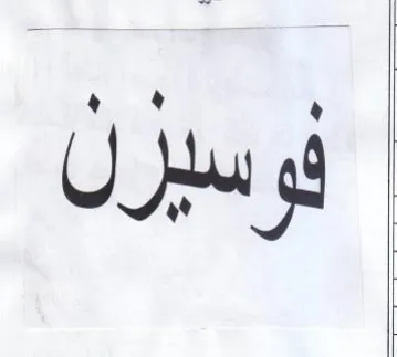 وسيزن trademark logo