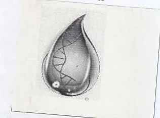ty a ne trademark logo