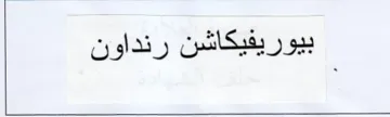 بيوريفيكاشن رنداون trademark logo