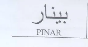 PINAR trademark logo
