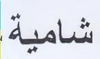 (figurative mark) trademark logo