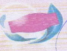 pp