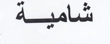 (figurative mark) trademark logo