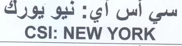 سي أس اي trademark logo