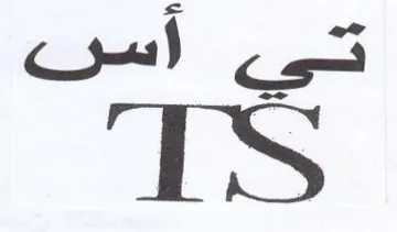 IS trademark logo