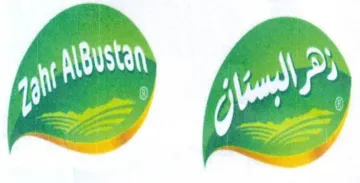 NSE trademark logo