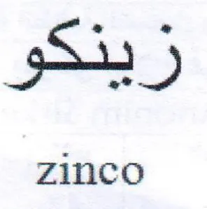 gb 5 zinco trademark logo