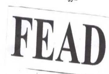 FEAD trademark logo