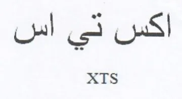 اكس تي اس trademark logo