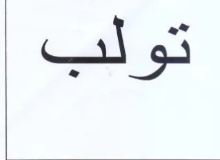 (figurative mark) trademark logo