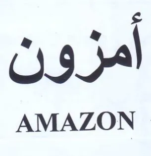 AMAZON امزون trademark logo