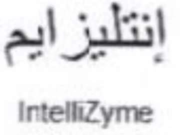 IntetiZyme إنتليز trademark logo