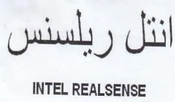 INTEL REALSENSE انئل ريلسنس trademark logo
