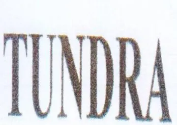 TUNDRA trademark logo