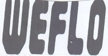 WerLO trademark logo