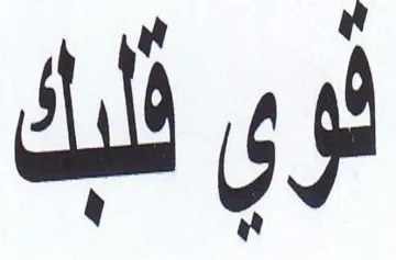 نوي فلبك trademark logo