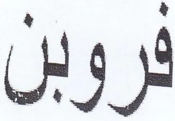 yy trademark logo