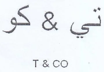 Fi trademark logo