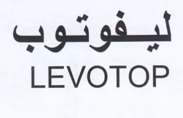 gg LEVOTOP trademark logo