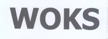 WOKS trademark logo
