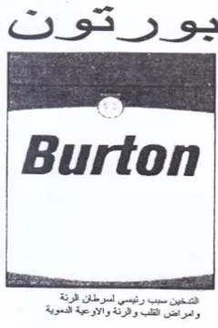 C33 5 s Burton trademark logo