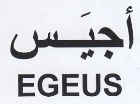 EGEUS أجيس trademark logo