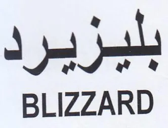 a 3p jo BLIZZARD trademark logo