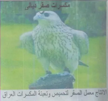 aoe ae اج معمل الصقر لتحميص وتعبنة المكسرات العر trademark logo