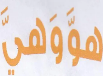 vila trademark logo