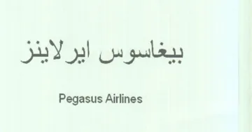 Pegasus Airlines بيغاسوس ايرلاينز trademark logo