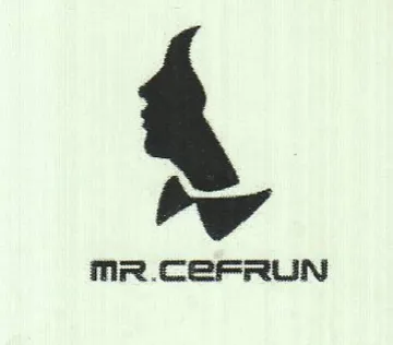 nr.CerRUN trademark logo