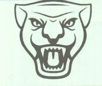 (figurative mark) trademark logo